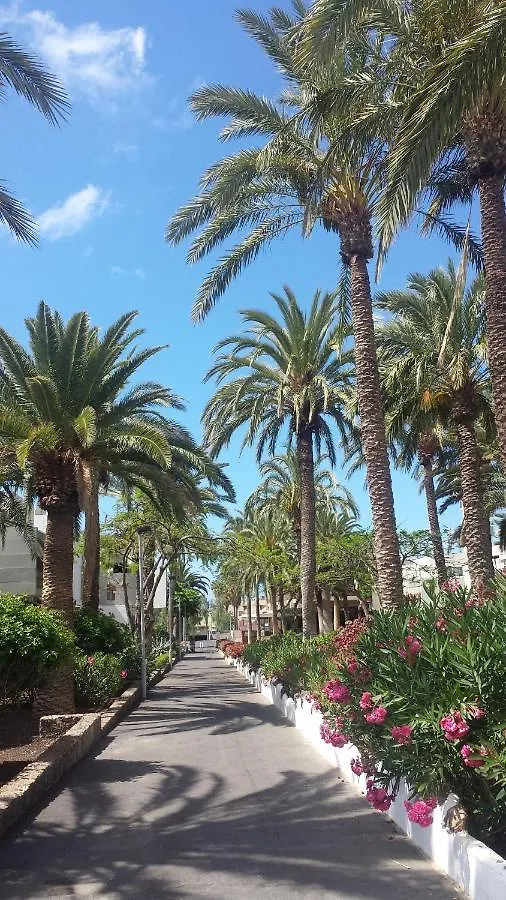 Simple Apartment Frontera Primavera Pool In South Tenerife Costa Del Silencio